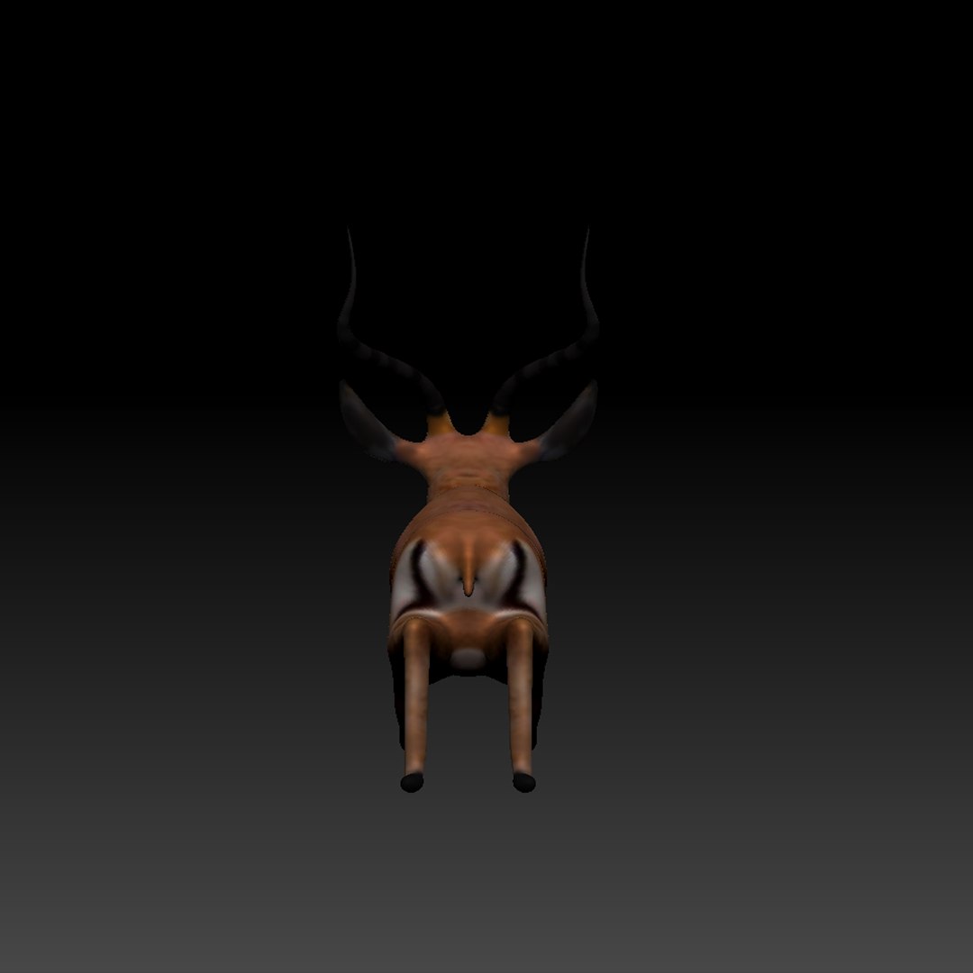 3d obj impala https://p.turbosquid.com/ts-thumb/HY/bX8FeI/yuHeMJRz/impala_thumb_09/jpg/1476721639/1920x1080/fit_q87/fa2bc29f14af5b153b00b463b096f57426a120cc/impala_thumb_09.jpg