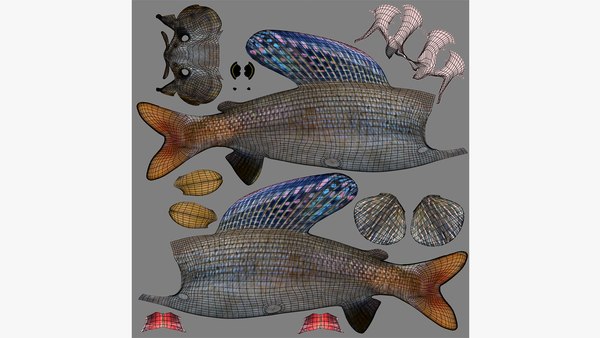 modelo 3d Arctic Grayling Male - TurboSquid 2075593