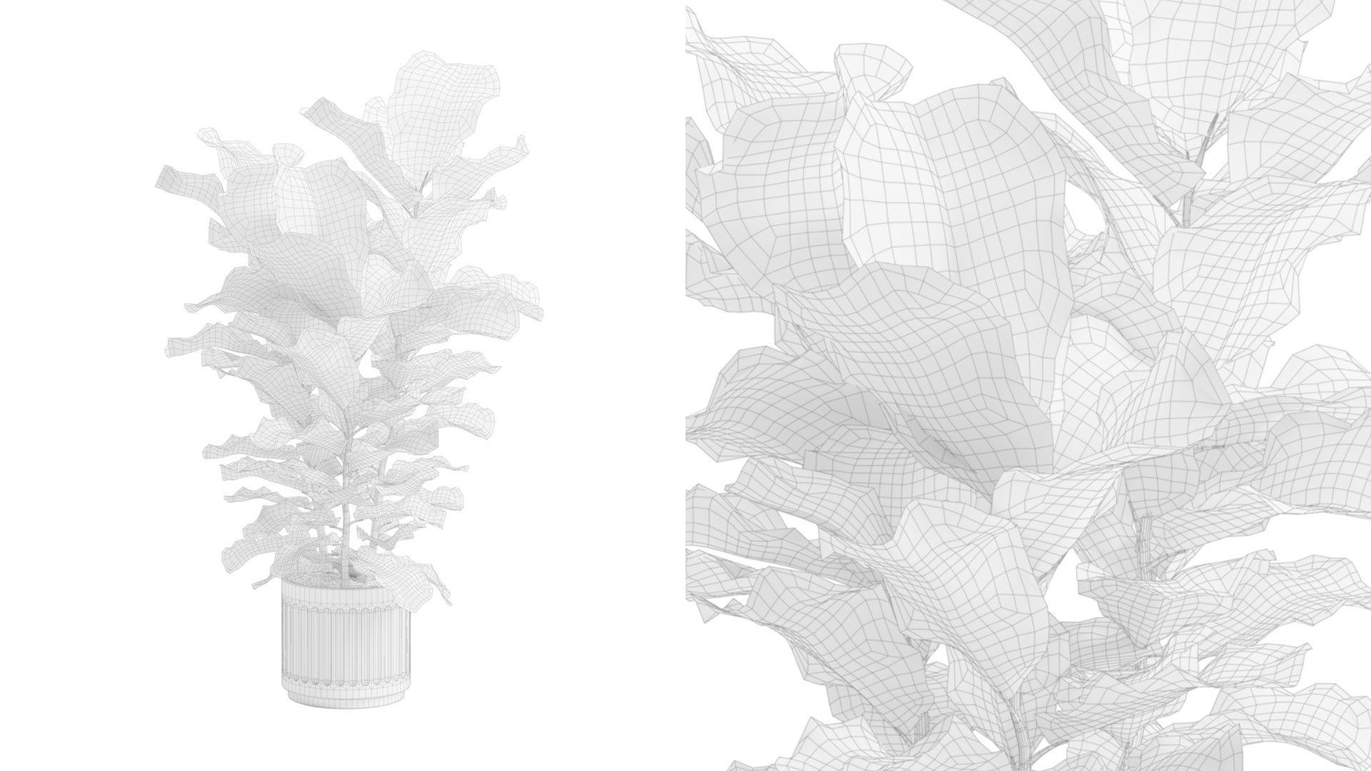 Ficus Lyrata Concrete Pot 3D model https://p.turbosquid.com/ts-thumb/HZ/8r59sA/B2/previewts01wire_0000/jpg/1747972443/1920x1080/fit_q87/90e61f3c903101e406edf433cd9488467e660e59/previewts01wire_0000.jpg