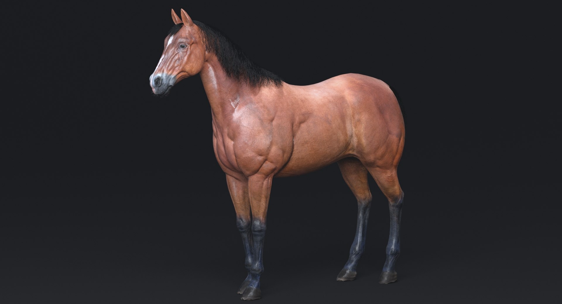 3D horse rigging animation walk https://p.turbosquid.com/ts-thumb/HZ/AJVPnu/UOMYAIlO/6/jpg/1538760382/1920x1080/fit_q87/c2235ca0838c97330a0029c6d9c3777d7799fdcf/6.jpg