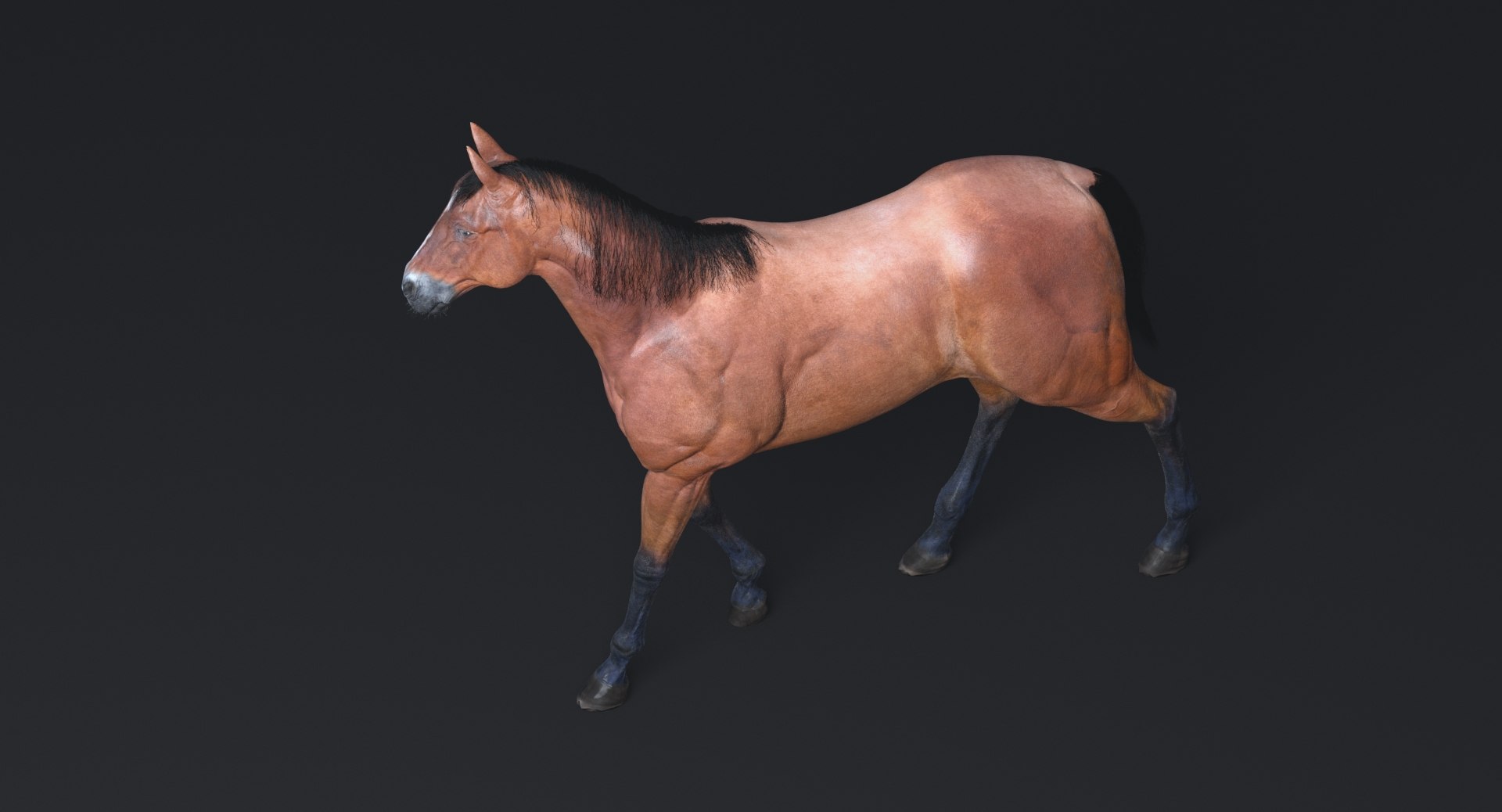 3D horse rigging animation walk https://p.turbosquid.com/ts-thumb/HZ/AJVPnu/aHhn41PS/11/jpg/1538760383/1920x1080/fit_q87/1edba8d5b846ac23e31bc907d10e7b6dc8f27bb7/11.jpg