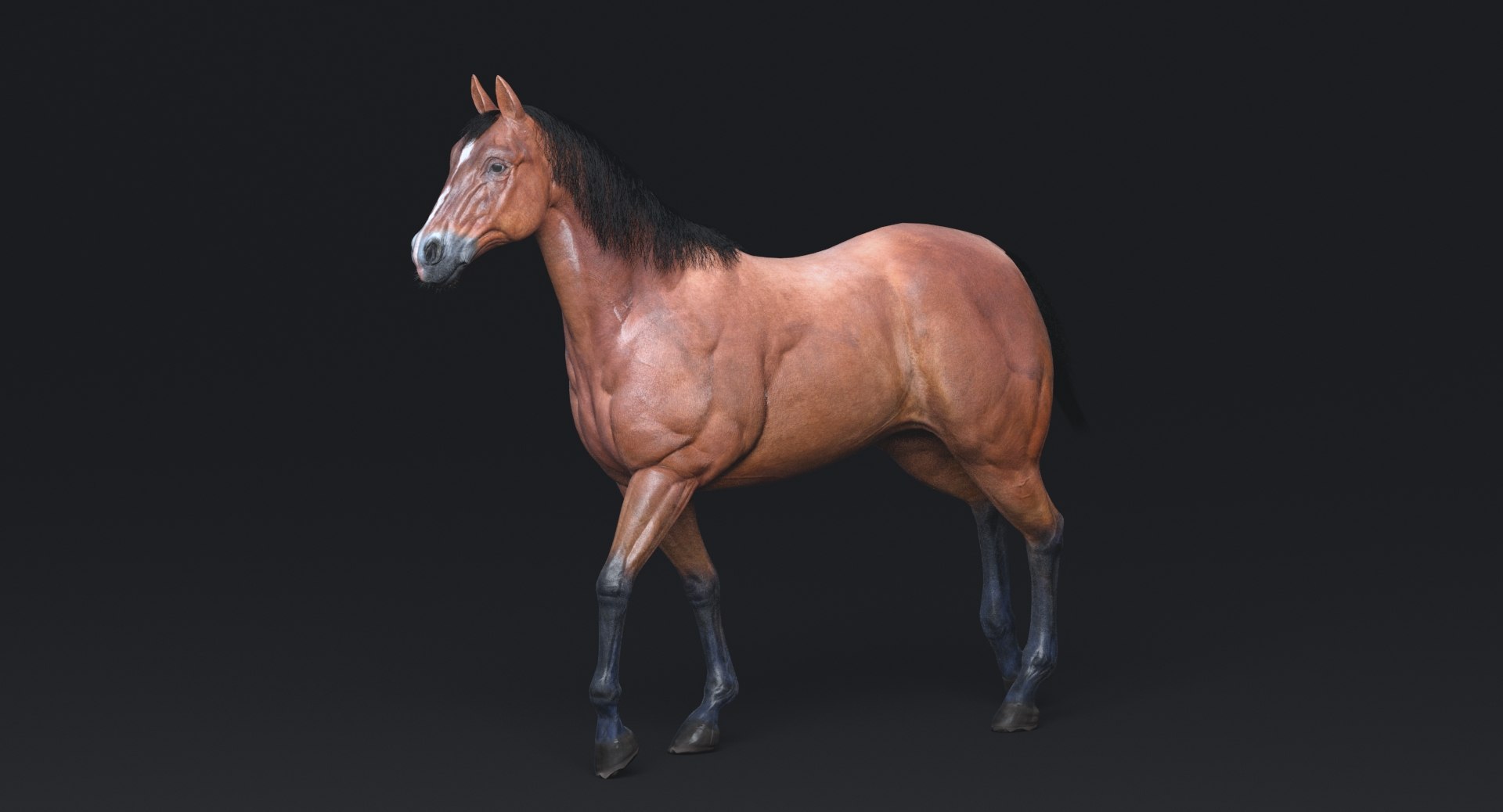 3D horse rigging animation walk https://p.turbosquid.com/ts-thumb/HZ/AJVPnu/bHAk3qss/9/jpg/1538760383/1920x1080/fit_q87/a17df7d87df7bb931cc715834325f5329e438e47/9.jpg