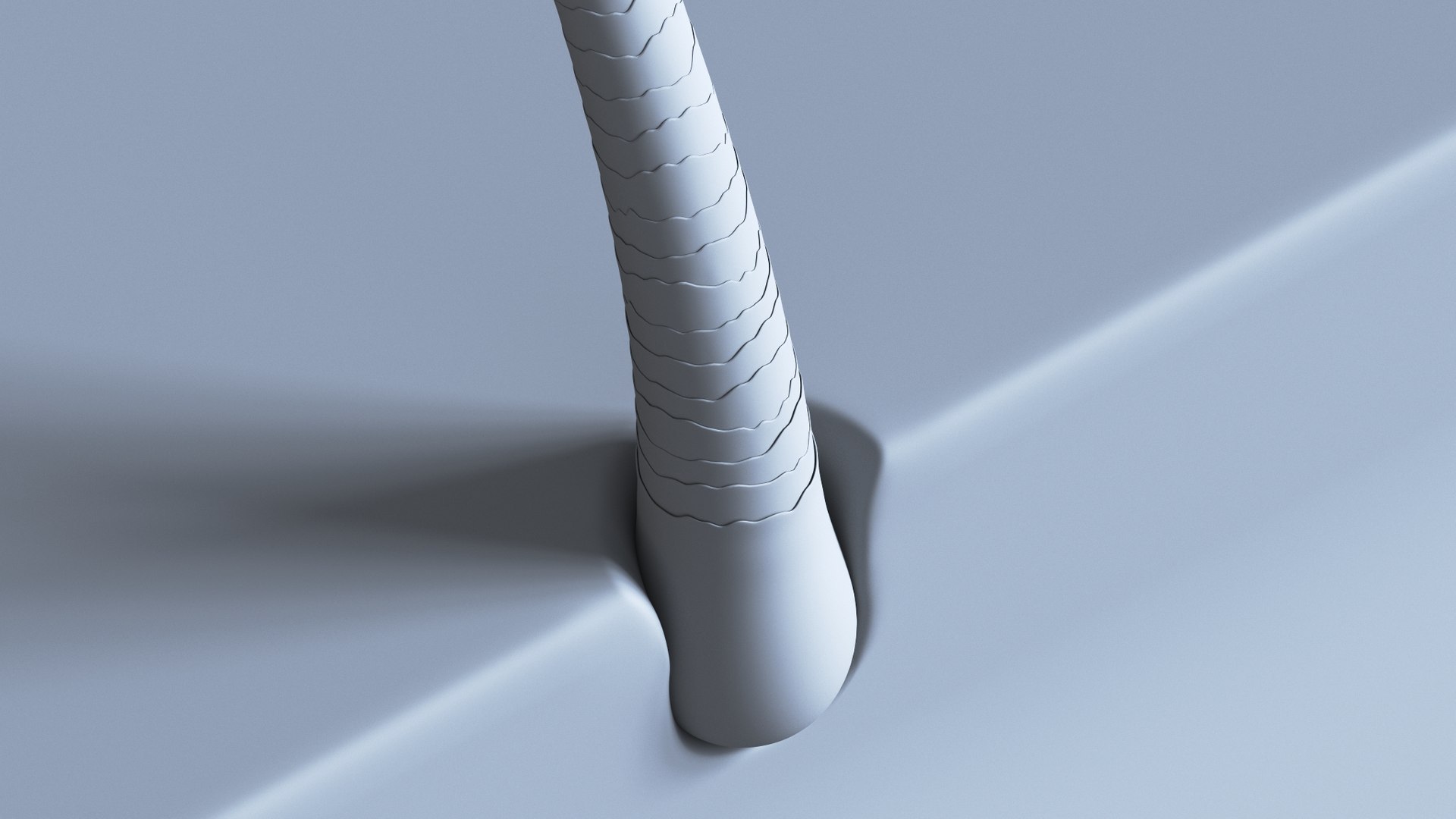 hair microscope style 3D model https://p.turbosquid.com/ts-thumb/HZ/E6rPfD/84eG0zDp/hair_002_clay2/jpg/1542908894/1920x1080/fit_q87/b7a146840a9f336f79a92f5bd7f0c9bfa3e37eea/hair_002_clay2.jpg
