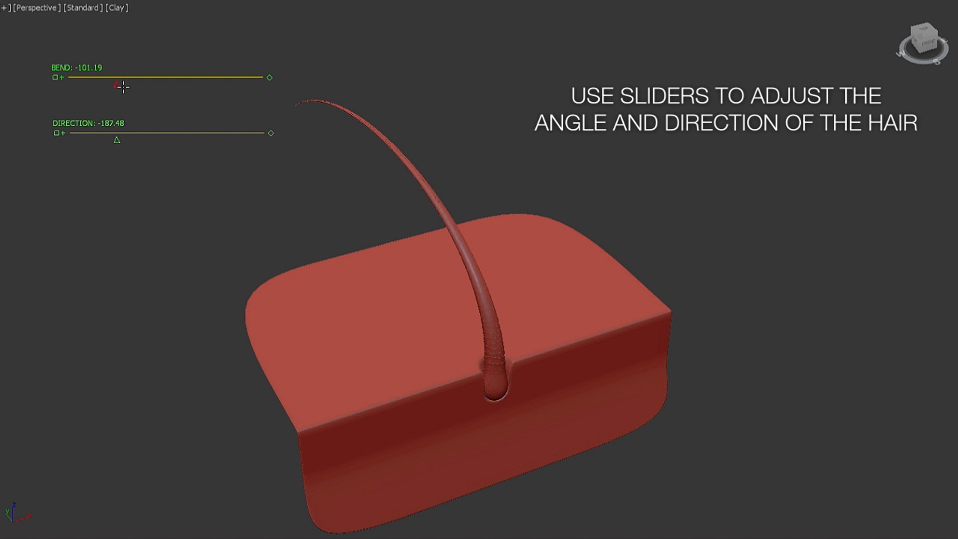 hair microscope style 3D model https://p.turbosquid.com/ts-thumb/HZ/E6rPfD/nR11ViOo/hair_006/jpg/1546891277/1920x1080/fit_q87/0e55d9d64b16c323f6122fb3aea82e90173ab060/hair_006.jpg