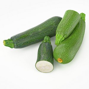 3d realistic squash real vegetables
