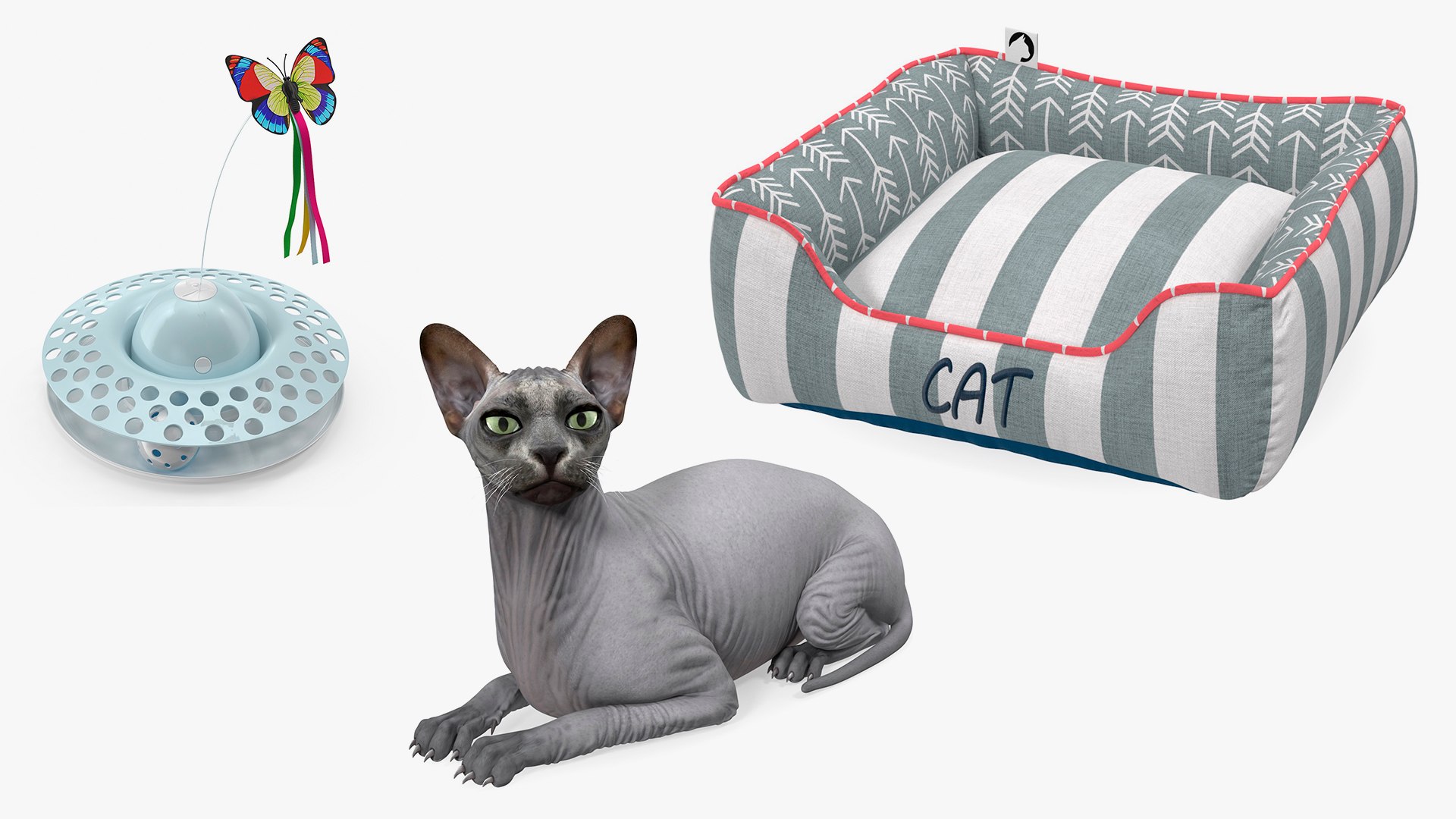 3D Sphynx Cat with Cat Accessories Collection model https://p.turbosquid.com/ts-thumb/HZ/RV12b4/Td/sphynx_cat_with_cat_accessories_collection_001/jpg/1730244679/1920x1080/fit_q87/2123d619238b89fa2757ba4cbf380060cb6f1ee8/sphynx_cat_with_cat_accessories_collection_001.jpg