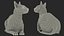 Sphynx Cat with Cat Accessories Collection