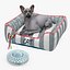 Sphynx Cat with Cat Accessories Collection