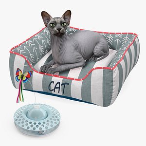 Sphynx Cat with Cat Accessories Collection