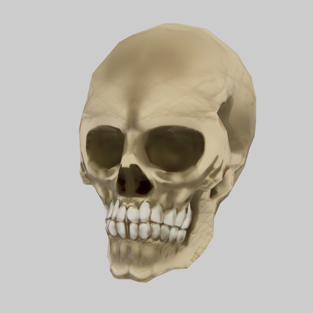 3D Scull 3D Studo https://p.turbosquid.com/ts-thumb/HZ/n9yWe6/5x/1200x12002/png/1630082962/1920x1080/fit_q87/9e6bdc23873fbb198aa6d53adda9a2788902b6d5/1200x12002.jpg
