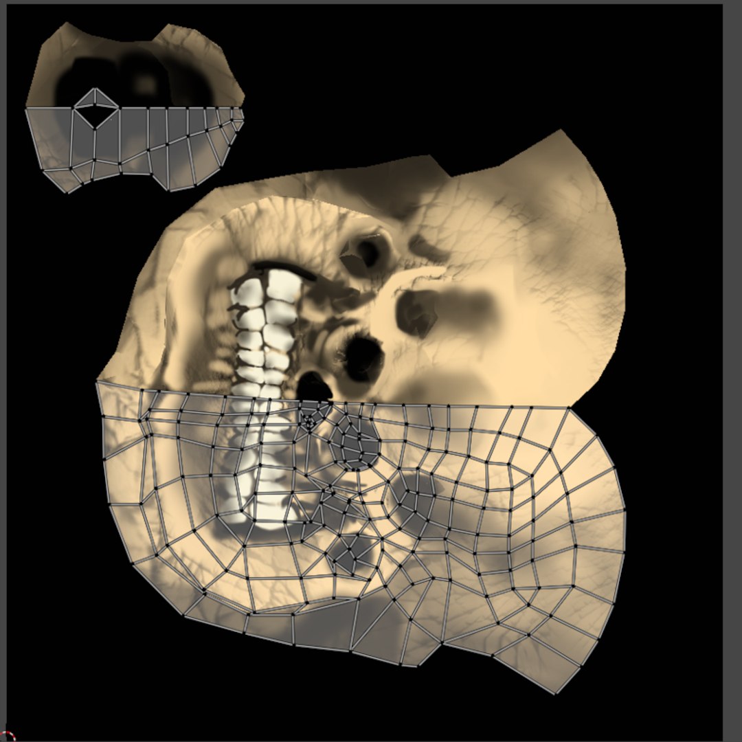 3D Scull 3D Studo https://p.turbosquid.com/ts-thumb/HZ/n9yWe6/vV/uv800x800/png/1630081926/1920x1080/fit_q87/5c092effe3050b70ca79b06f90b7eadac234c2a8/uv800x800.jpg
