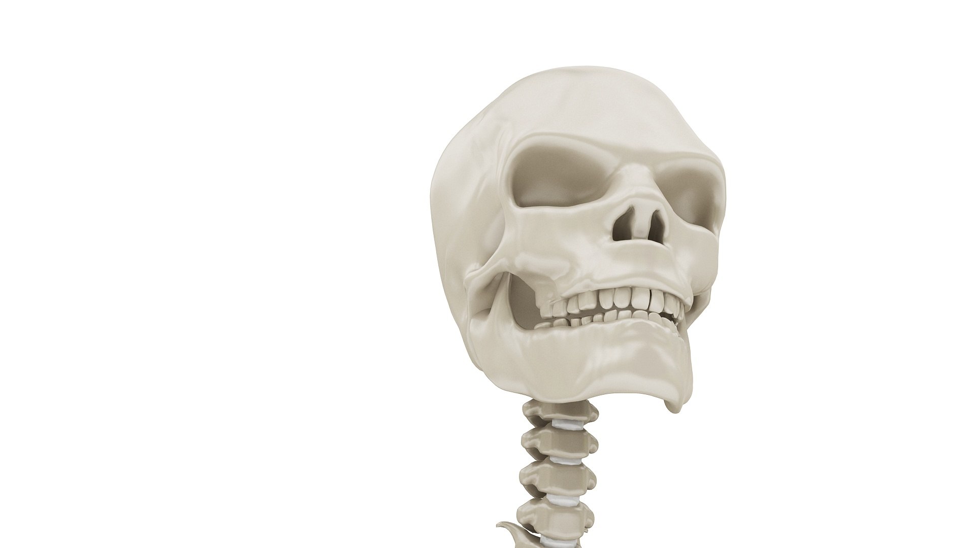 3D body anatomy 01 https://p.turbosquid.com/ts-thumb/HZ/sBAd0f/0QsinhSE/images13/jpg/1573360744/1920x1080/fit_q87/cad4a7b4f67cb49c3131dec214a30508e40e4ecd/images13.jpg