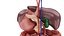 Anatomía del cuerpo completo 01