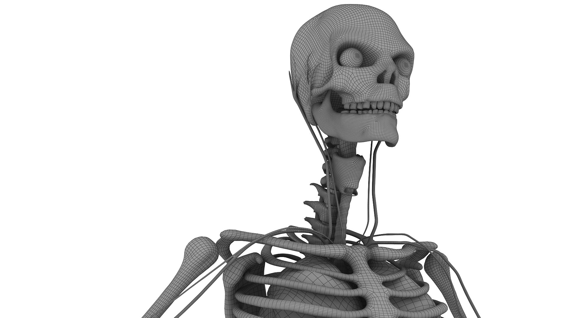 3D body anatomy 01 https://p.turbosquid.com/ts-thumb/HZ/sBAd0f/CoBcqkF1/images29/jpg/1573360974/1920x1080/fit_q87/58278c2866b4d7350b31d4b67bbf172b79bcdc58/images29.jpg