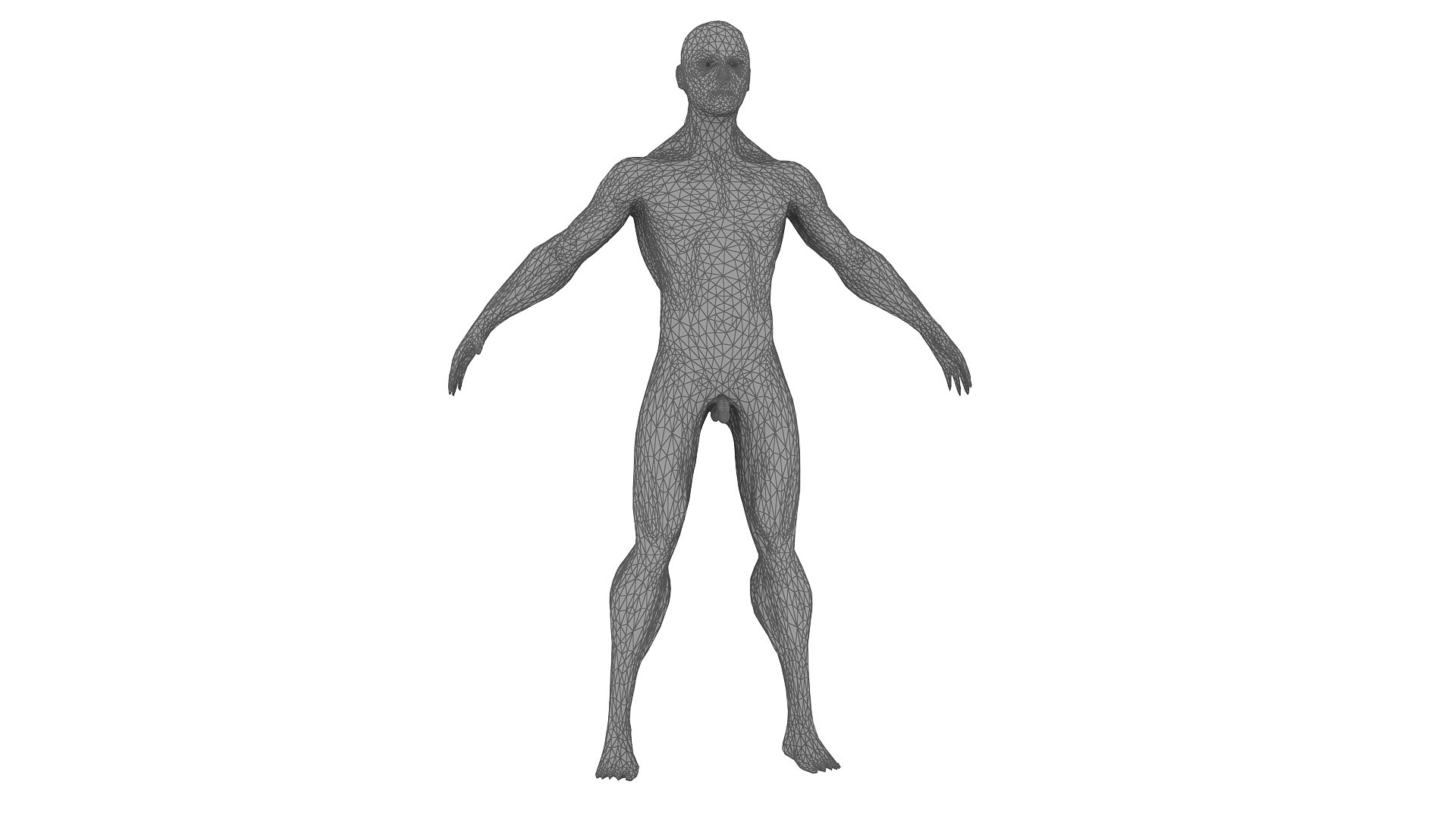 3D body anatomy 01 https://p.turbosquid.com/ts-thumb/HZ/sBAd0f/E9eVYMQd/images28/jpg/1573360974/1920x1080/fit_q87/843c1d3602793187846d9474c66514562f6bf68b/images28.jpg