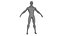 Anatomía del cuerpo completo 01