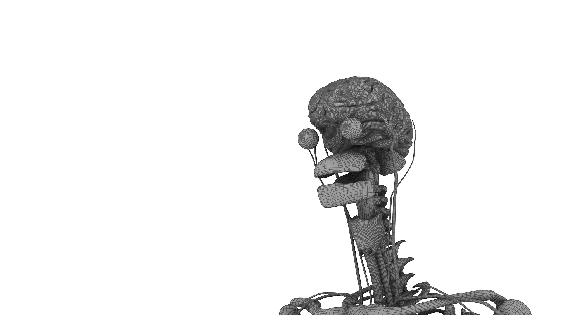 3D body anatomy 01 https://p.turbosquid.com/ts-thumb/HZ/sBAd0f/JYbLiSV0/images31/jpg/1573361673/1920x1080/fit_q87/f6e877a4b2603926f4bd00a362b996fd7016b015/images31.jpg
