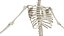Anatomía del cuerpo completo 01