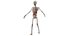 Anatomía del cuerpo completo 01