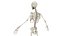 Anatomía del cuerpo completo 01
