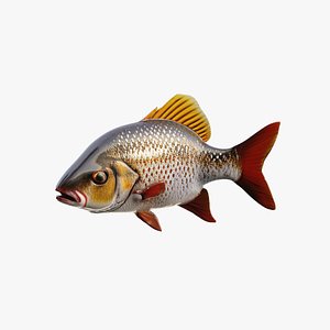 3D Fish PBR rigging animation