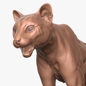 African Golden Cat Primary Forms Zbrush Sculpt 3D model