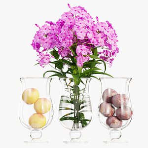 3D Phlox flowers in a vase set 02
