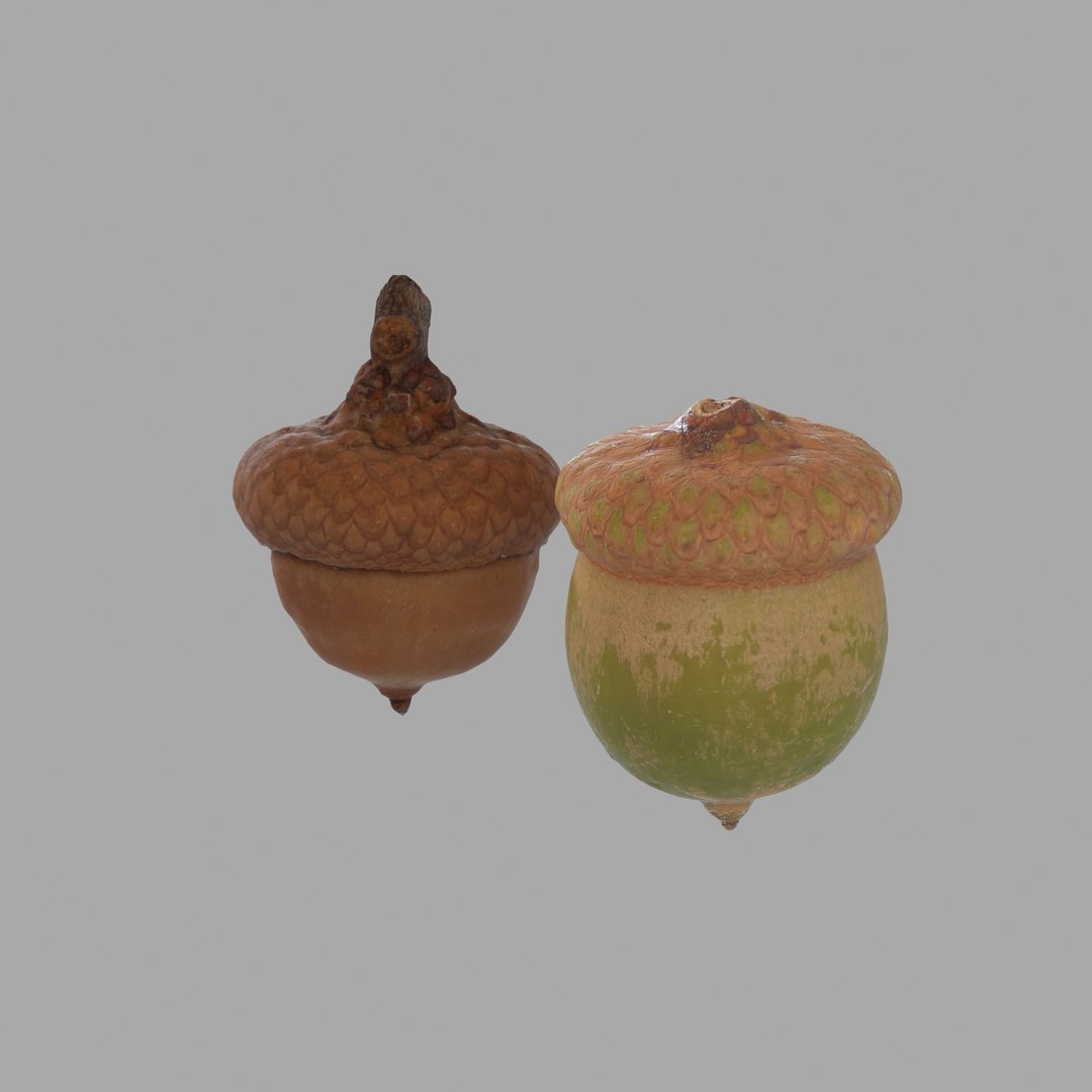 Photogrammetry Scan 3d Model Photogrammetry Scan 3d Model