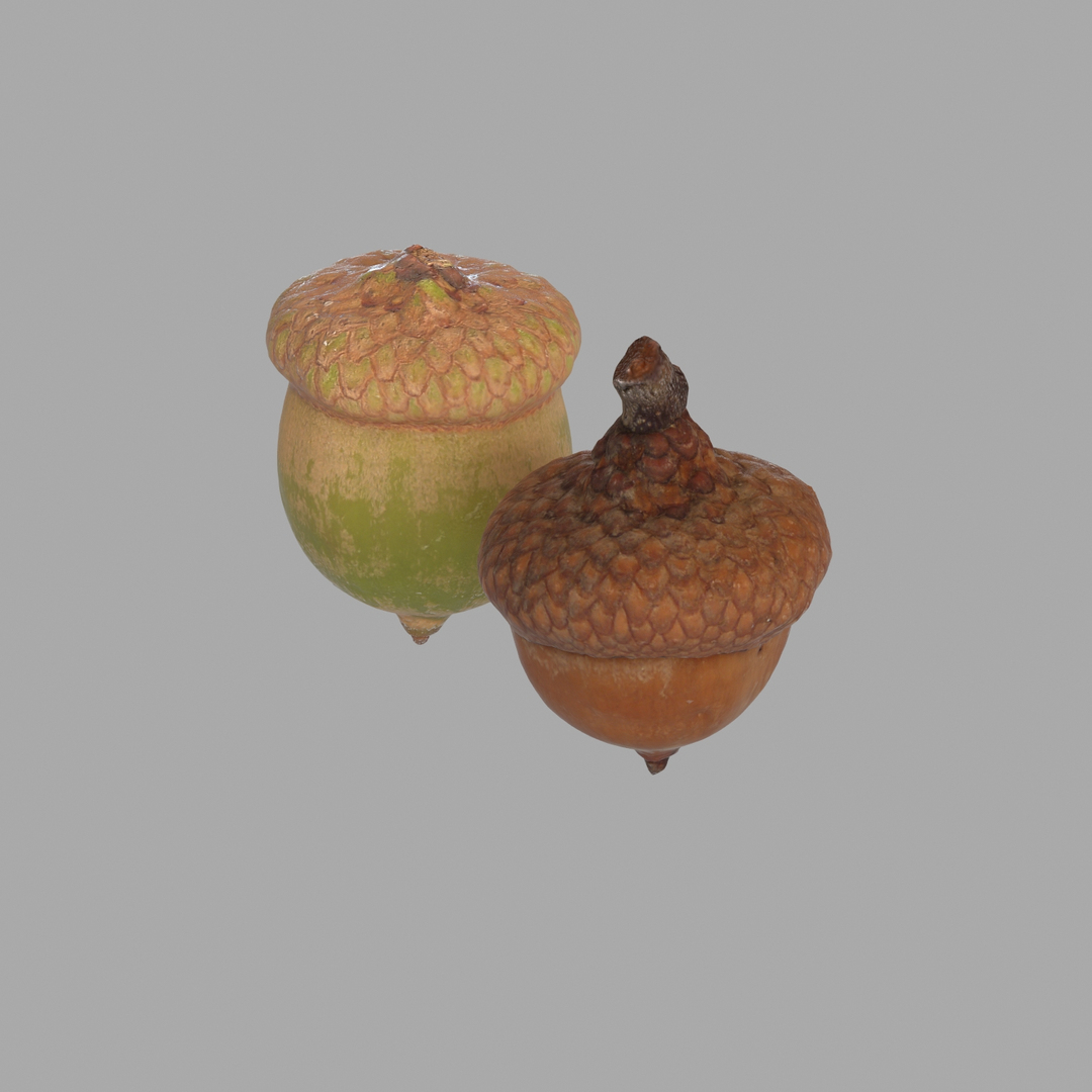 Photogrammetry Scan 3d Model Photogrammetry Scan 3d Model
