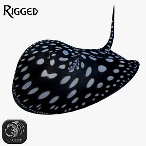3D model rigged river