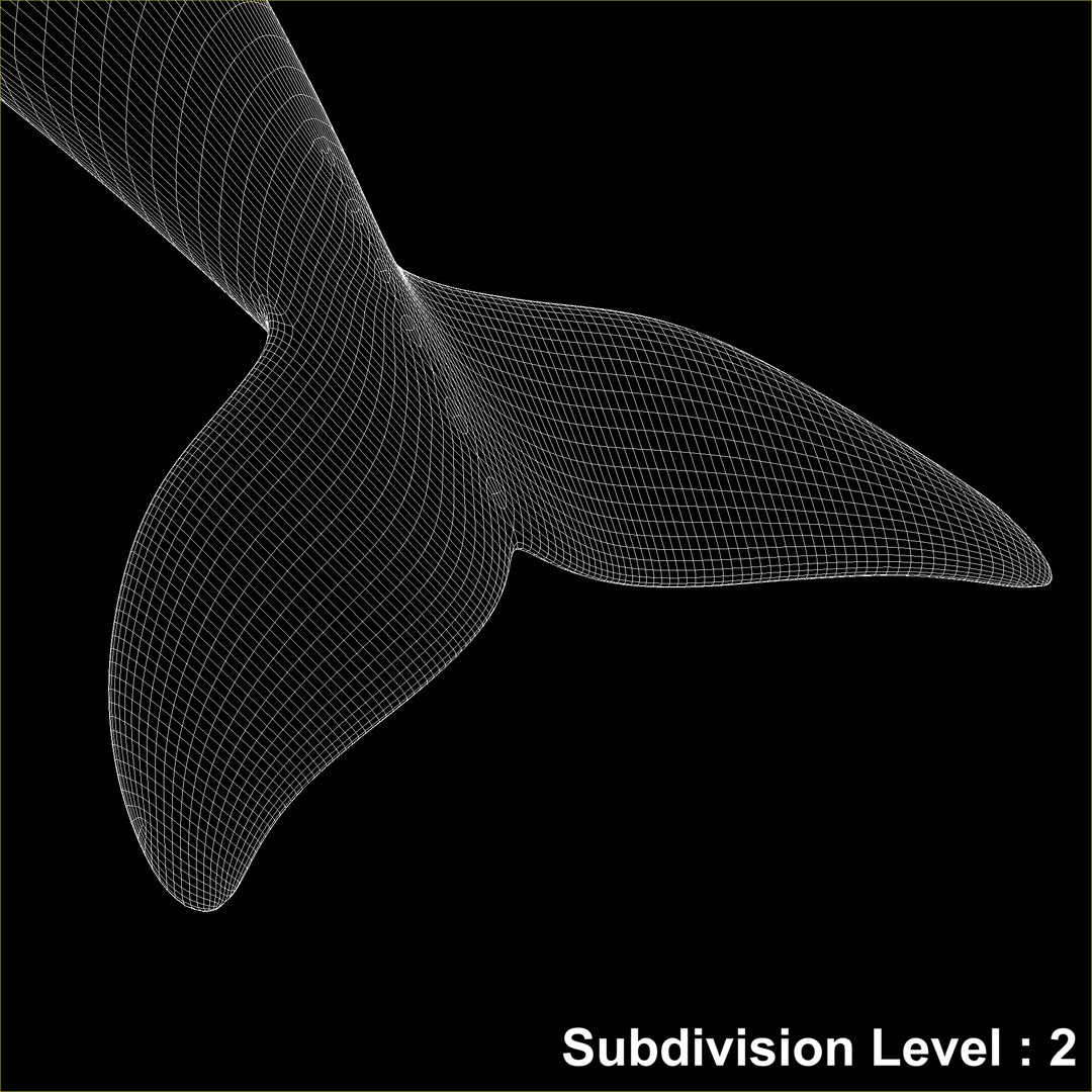 dolphin photorealistic animation 3d max https://p.turbosquid.com/ts-thumb/Ha/mdrS4j/BCDyqN3R/stillframe_._2396._wire0000/png/1411242638/1920x1080/fit_q87/4c9a15ad84bd290ba10b1d409f34866b664cd92e/stillframe_._2396._wire0000.jpg