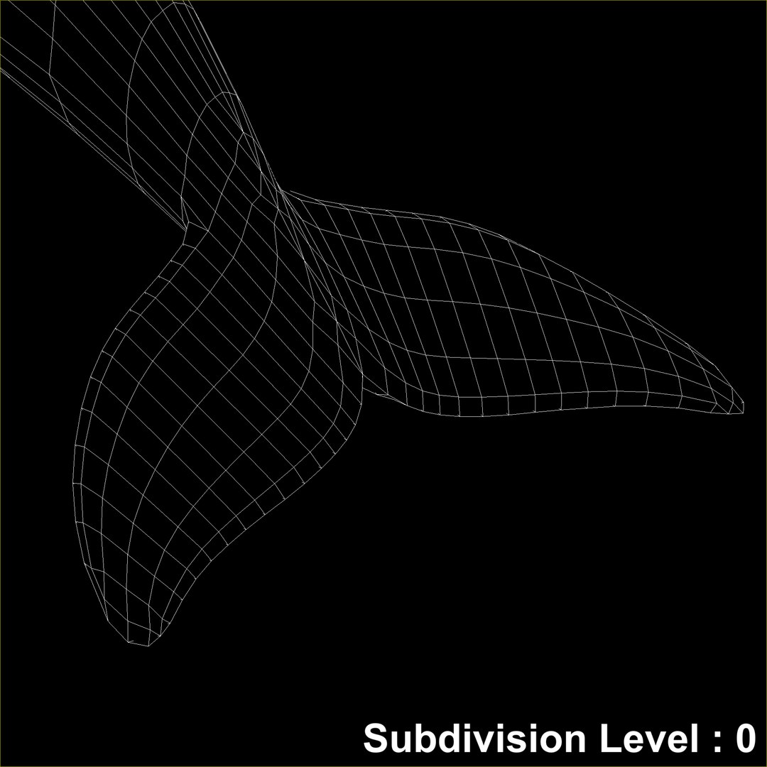 dolphin photorealistic animation 3d max https://p.turbosquid.com/ts-thumb/Ha/mdrS4j/a19jH13G/stillframe_._150._wire0000/png/1411242638/1920x1080/fit_q87/55fc040e5f92cc6986654b8890b063ff1d01fe96/stillframe_._150._wire0000.jpg