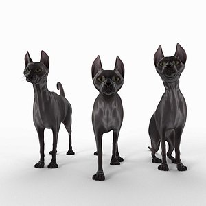 3D sphynx cat animal hair