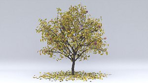 peach autumn hight 3D model