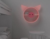 Shelf pig