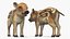 Wild Boar Piglet Striped Coloring 3D model