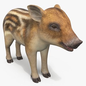 Wild Boar Piglet Striped Coloring