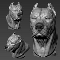 Dogo argentino Bust
