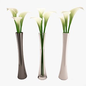 3d calla lily flower tall