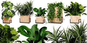 Collection plant vol 520 - blender