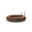 Inductor