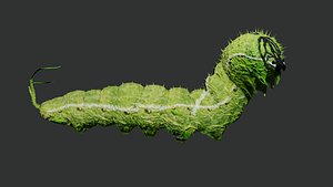 Caterpillar Rigged and Low Poly