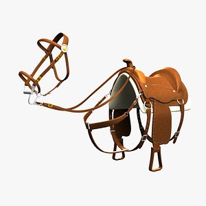 Western Saddle & Bridle
