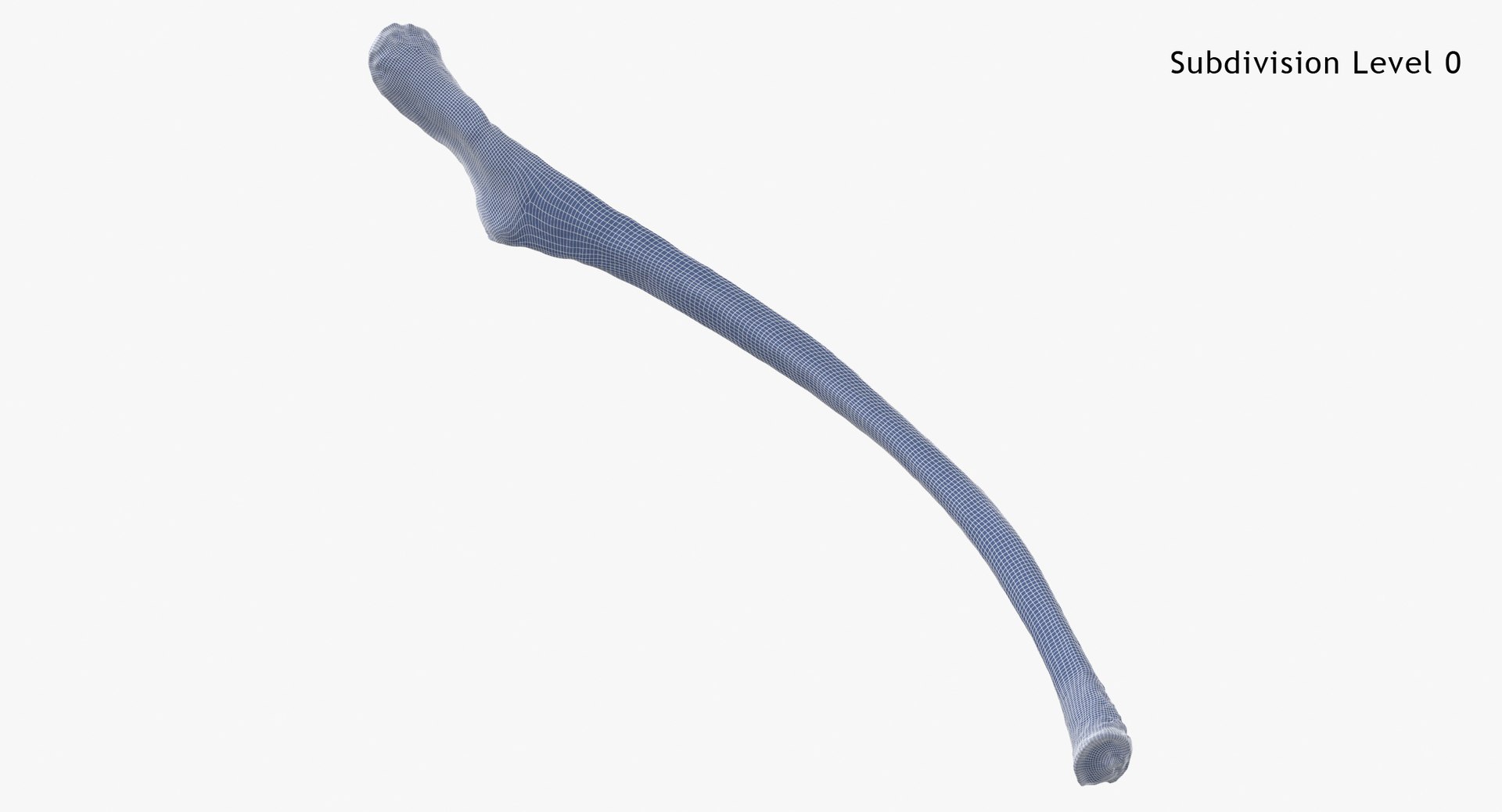 3D Kangaroo Red Necked Wallaby Rib T13 - TurboSquid 2068812