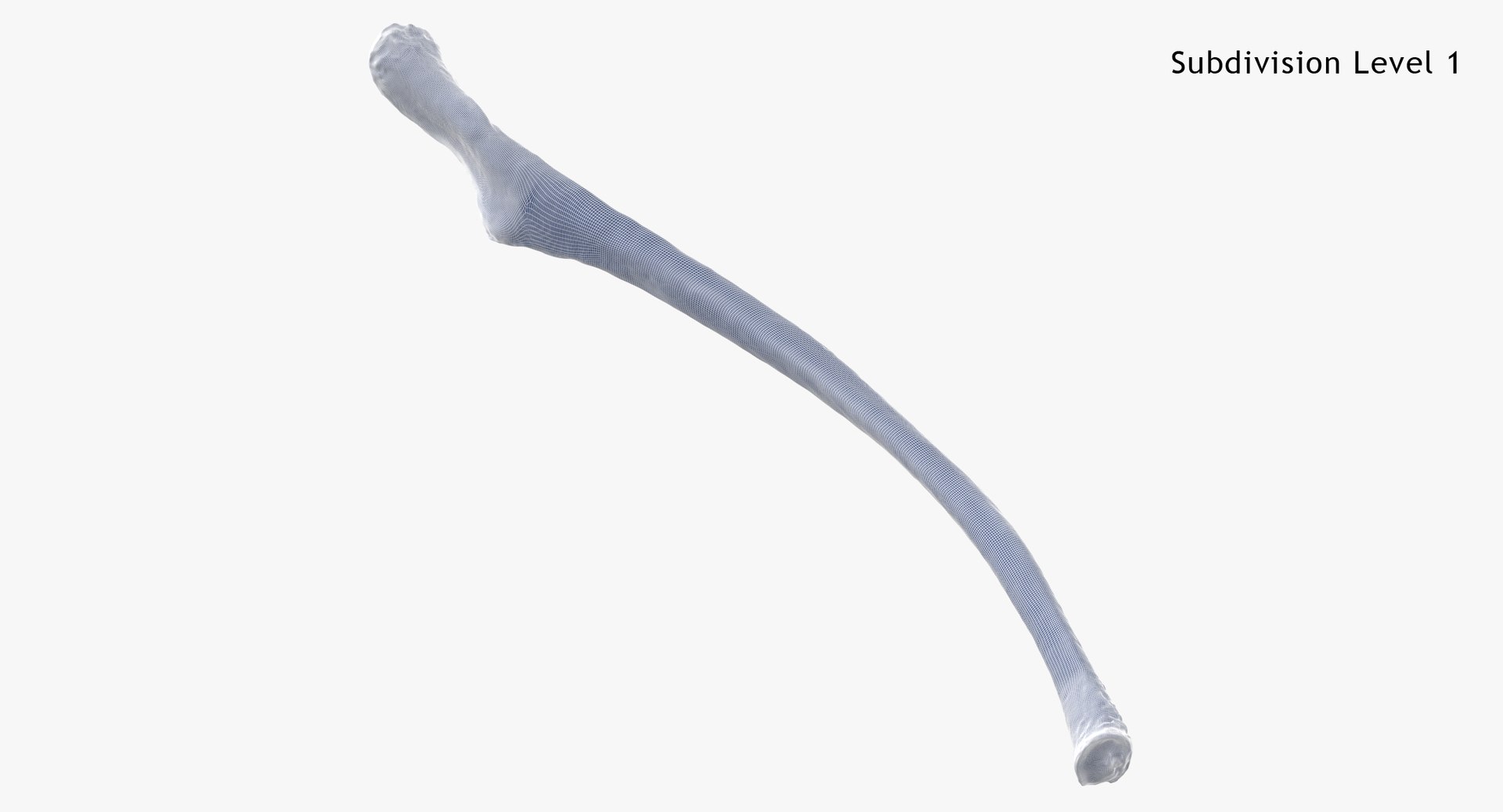 3D Kangaroo Red Necked Wallaby Rib T13 - TurboSquid 2068812