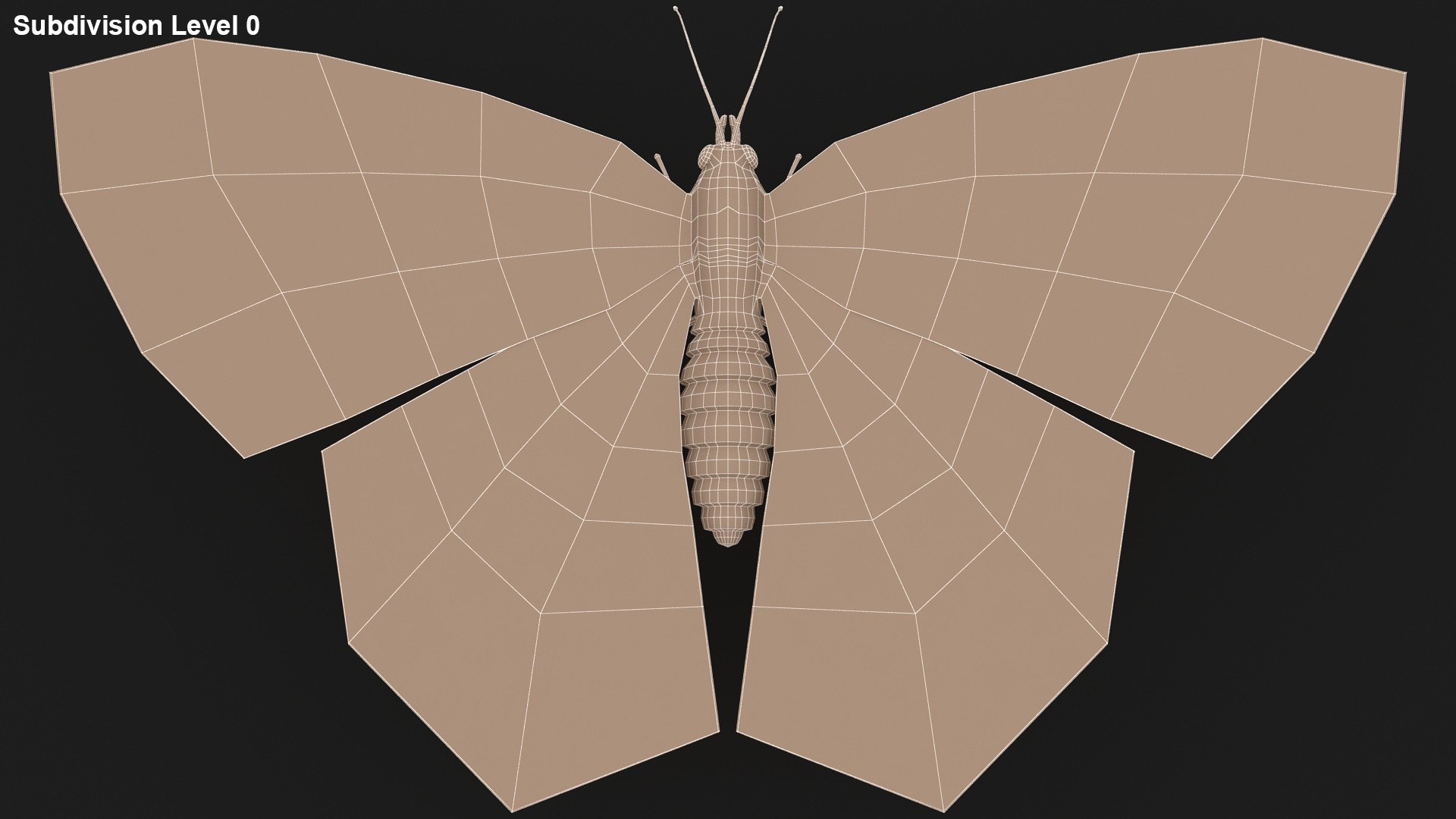realistic mourning cloak 3D model https://p.turbosquid.com/ts-thumb/Hc/5lwkfV/QUxezM0j/lemon_rr_30/jpg/1587212423/1920x1080/fit_q87/817b9854781169c1601a7a76959b12dcf2468ac6/lemon_rr_30.jpg