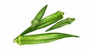 Okra