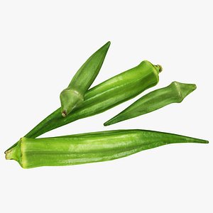 okra 3D model