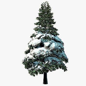 3d model snow pine