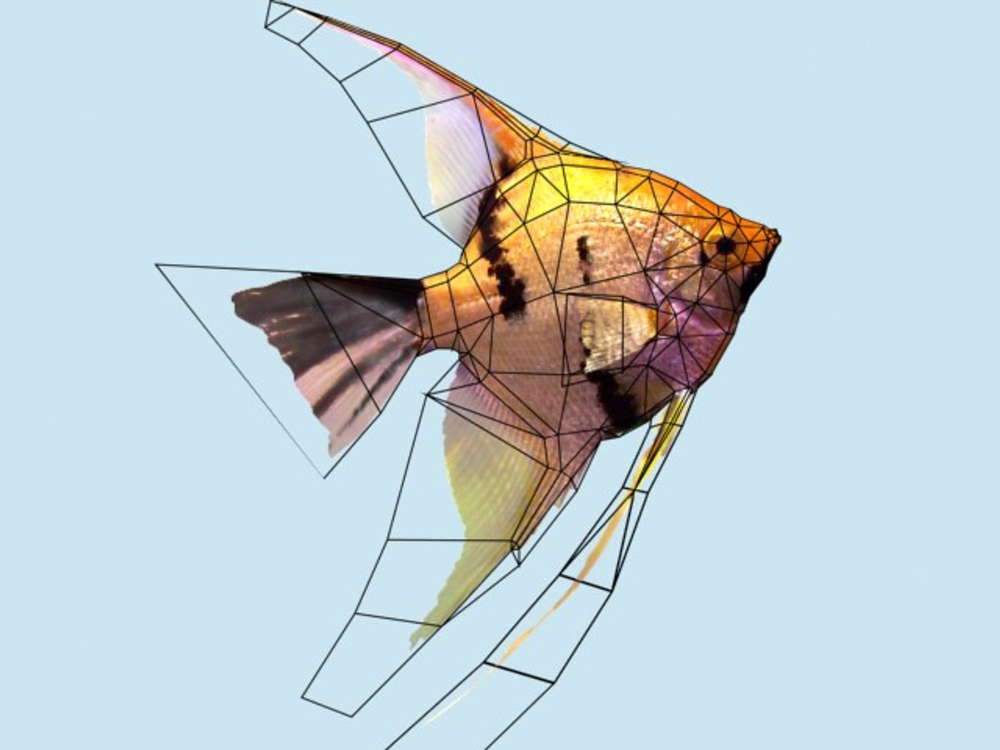 scalare 3d 3ds https://p.turbosquid.com/ts-thumb/Hc/Ej2nym/8FIXK42X/scalare_2/jpg/1273645845/1920x1080/fit_q87/b6d01e7d726064864dfdc08151b9ccb656423d87/scalare_2.jpg